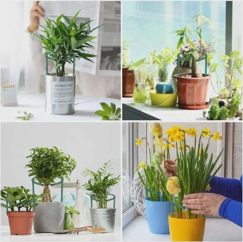 Plantensteun Stokken Set - Groen Plastic - Voor Bloemen & Planten