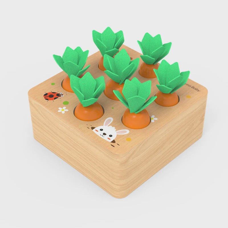 Houten Montessori Wortel Puzzel - Educatief Speelgoed voor Baby's en Kinderen