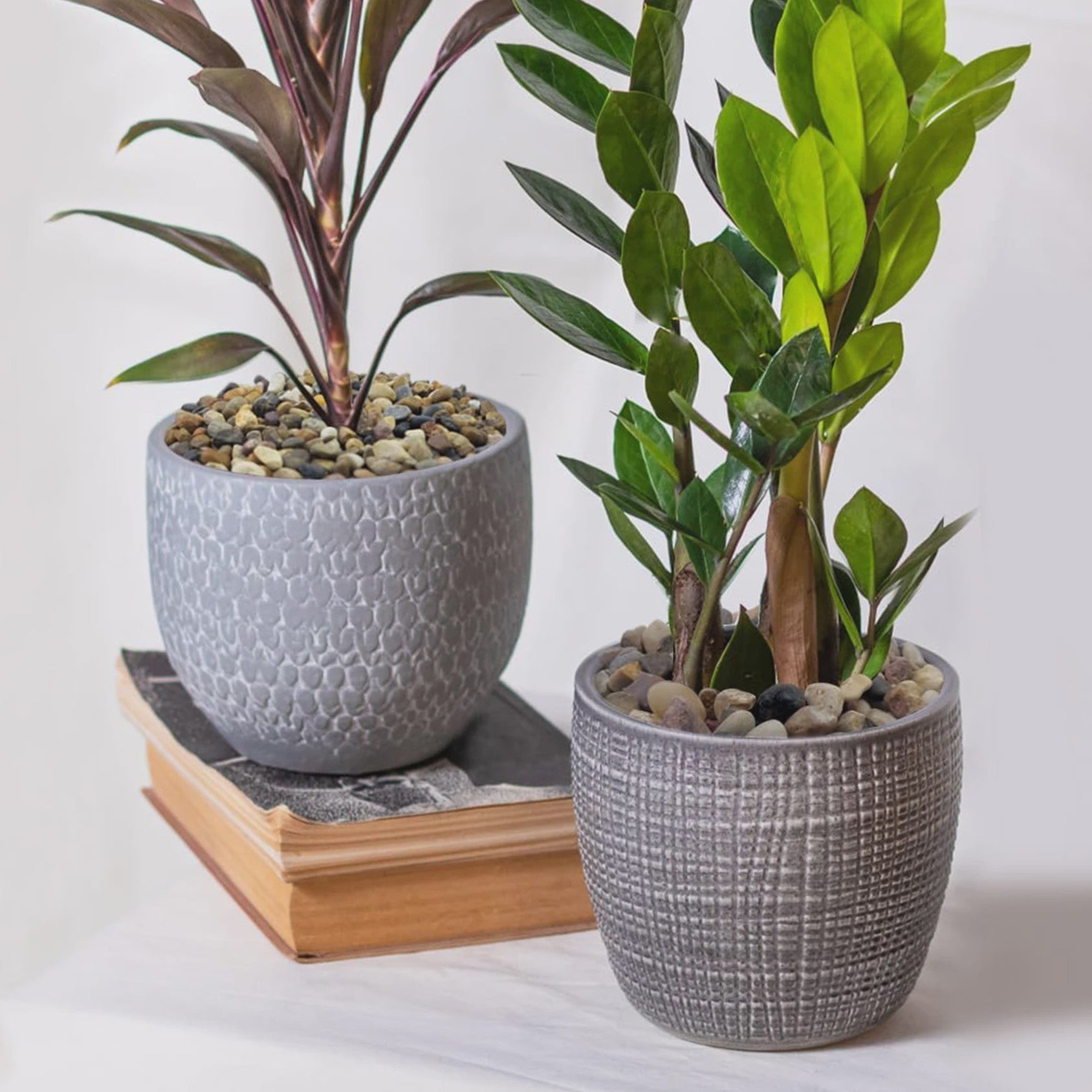 Natuurlijke Rivierstenen & Kiezels - Decoratief Grind voor Aquarium, Tuin & Planten