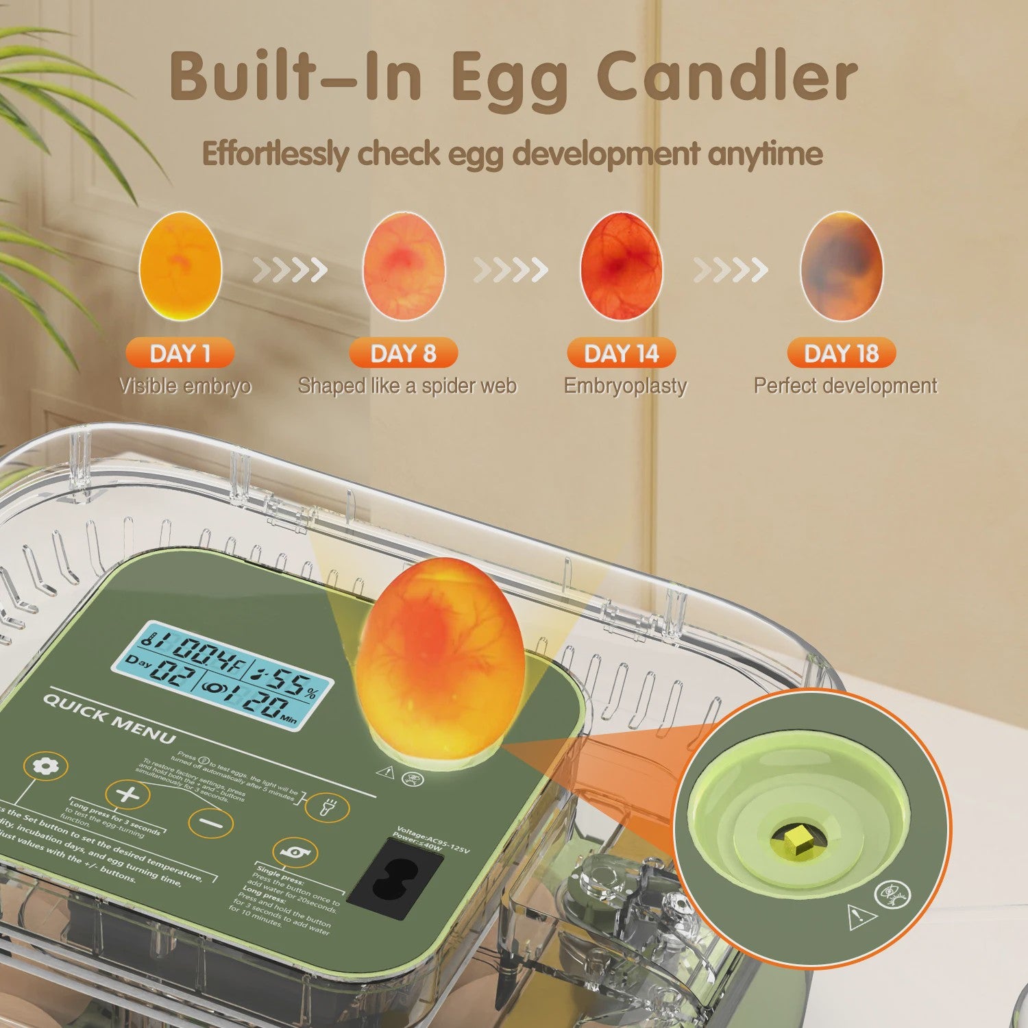 Automatische Incubator voor 12 Eieren met Temperatuur- en Vochtigheidsregeling