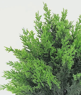 Set van 2 Kunstkerstbomen Bolvormig - Hoge Kwaliteit Kunstgroen voor Binnen en Buiten Tuindecoratie