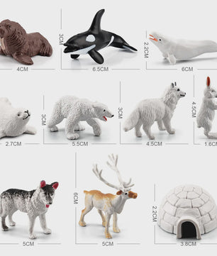 Set van 10 Arctische Dieren Figuren - Realistische Poolbeer, Zeehond, Walrus & Meer