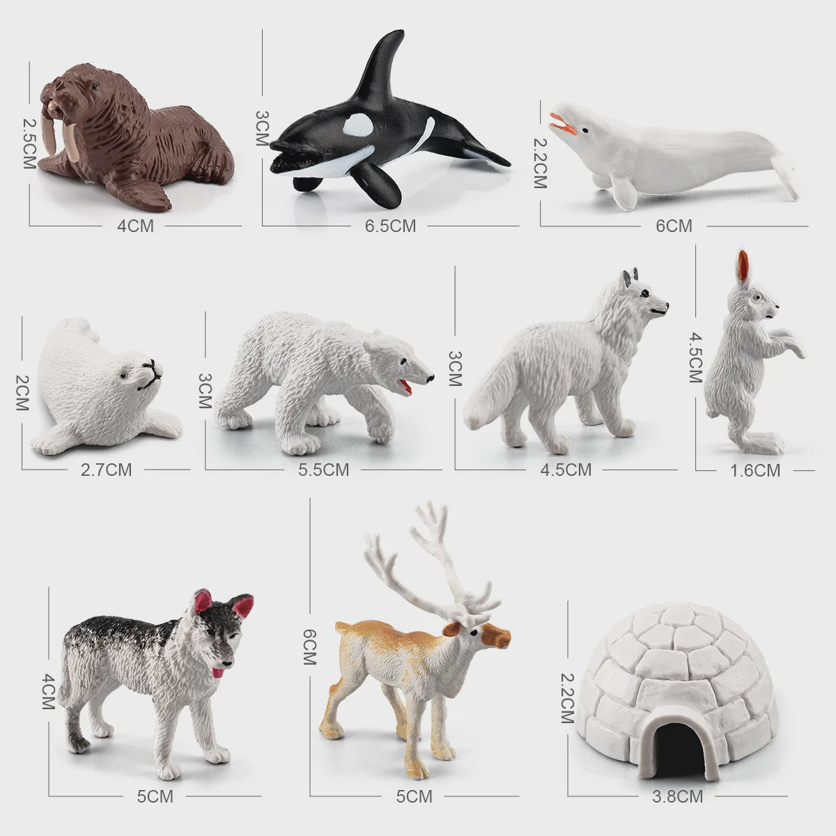 Set van 10 Arctische Dieren Figuren - Realistische Poolbeer, Zeehond, Walrus & Meer