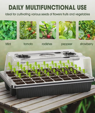 Kweekbak met 40 Cellen, Vochtdome en 2 LED Groeilampen - Complete Zaadstarter Kit