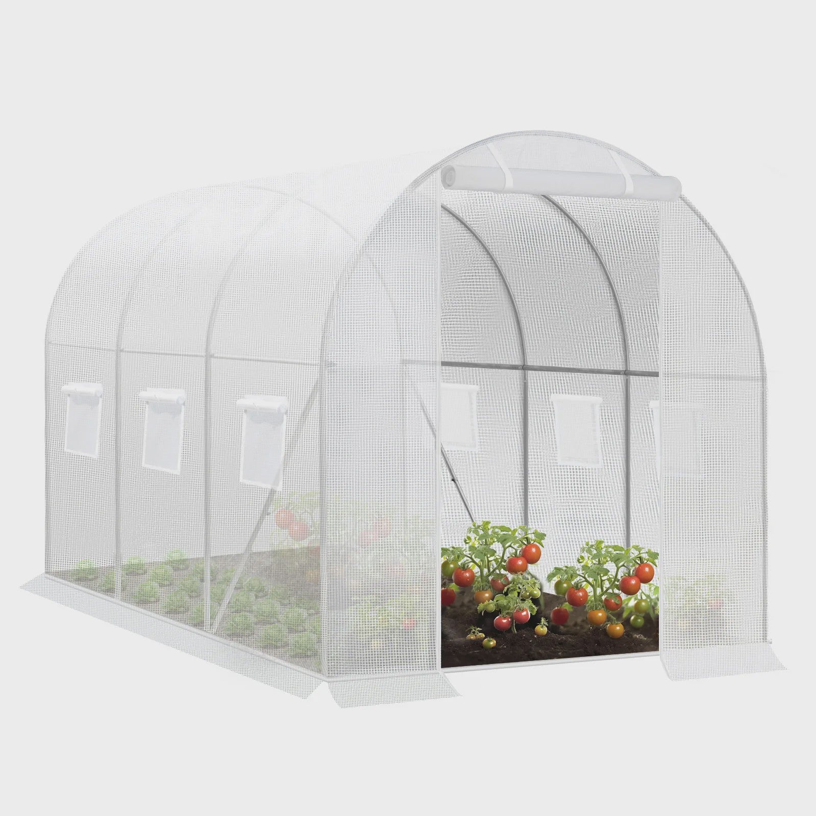 WOLTU Tunnelkas 300x200x200cm - Winterharde Polytunnel voor Groenten, Fruit & Bloemen