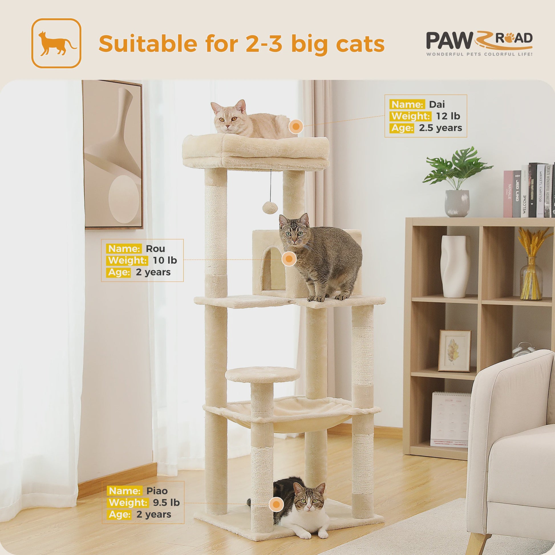 Grote Kattenboom met 5 Niveaus, Hangmat en Krabpalen voor Grote Katten