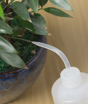 Set van 2x Squeeze Plantenspuit Flessen (250ml & 500ml) met Precisie Tuit voor Succulenten en Bloemen