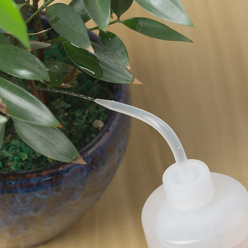 Set van 2x Squeeze Plantenspuit Flessen (250ml & 500ml) met Precisie Tuit voor Succulenten en Bloemen