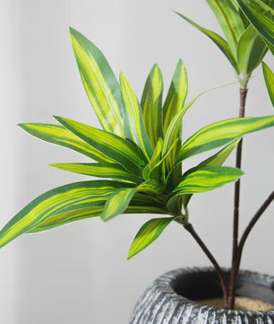Kunstplant 36cm met 3 Bamboe-achtige Takken - Tropische Decoratie