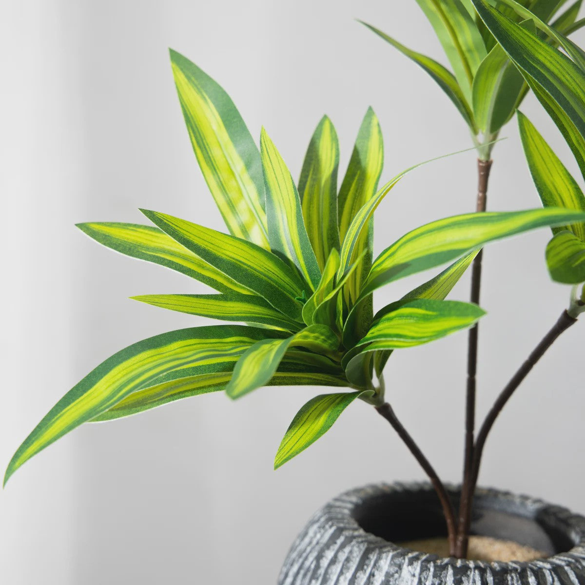 Kunstplant 36cm met 3 Bamboe-achtige Takken - Tropische Decoratie