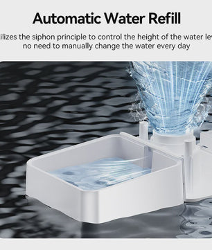 ROJECO Automatische Voerbak & Waterfontein 8.5L - 2-in-1 Honden Voerdispenser met Waterreservoir