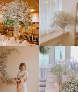 60g Gedroogde Baby's Breath Bloemboeket - Natuurlijke Gypsophila Decoratie