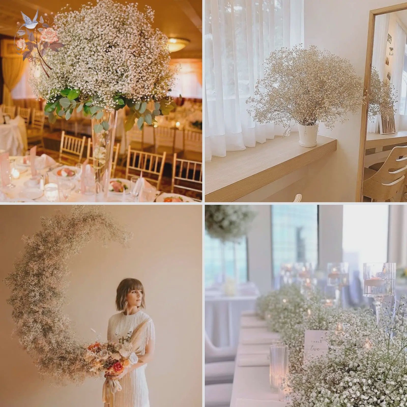 60g Gedroogde Baby's Breath Bloemboeket - Natuurlijke Gypsophila Decoratie