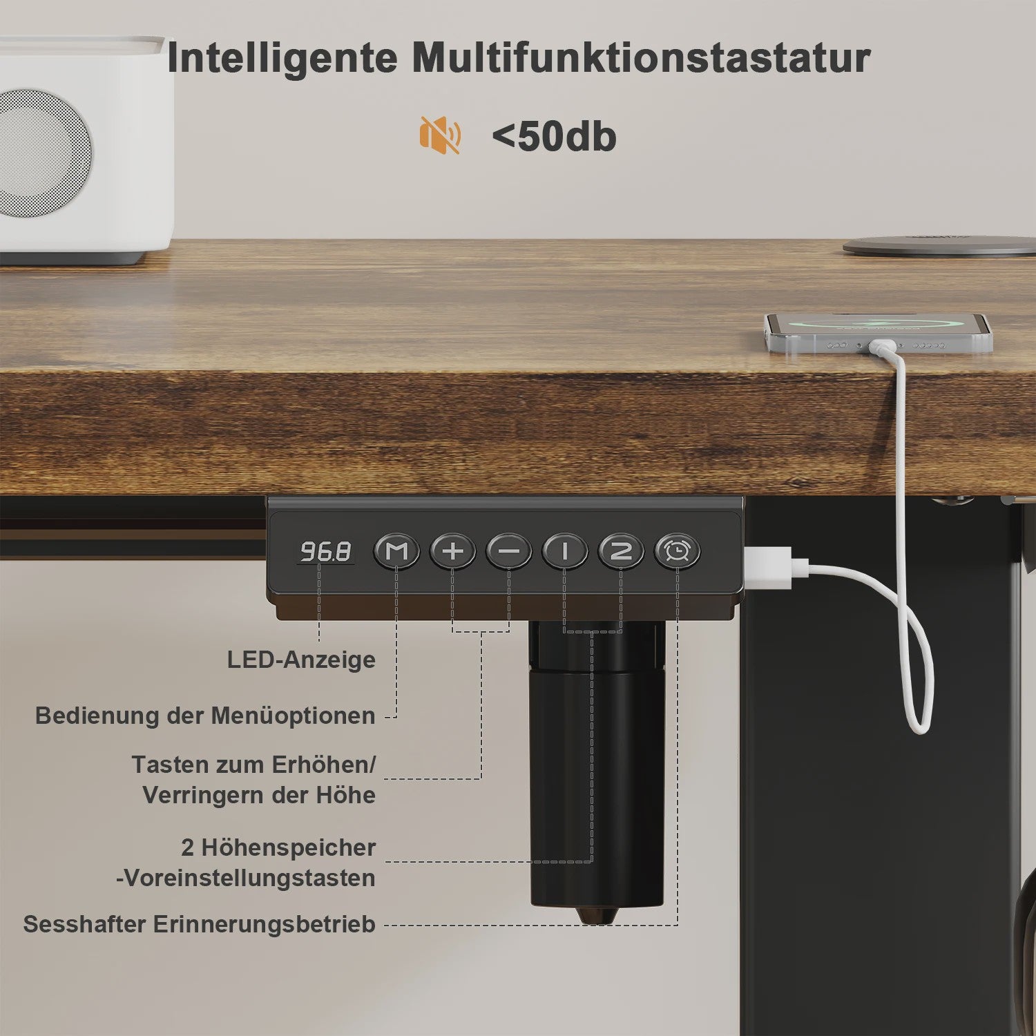 Elektrisch In hoogte Verstelbaar Bureau 120x60 cm met USB-poort - Ergonomisch Thuiswerk Bureau