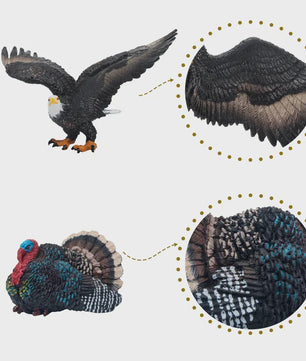 Toymany Noord-Amerikaanse Dieren Speelgoedset - 14 Realistische Mini Figuren