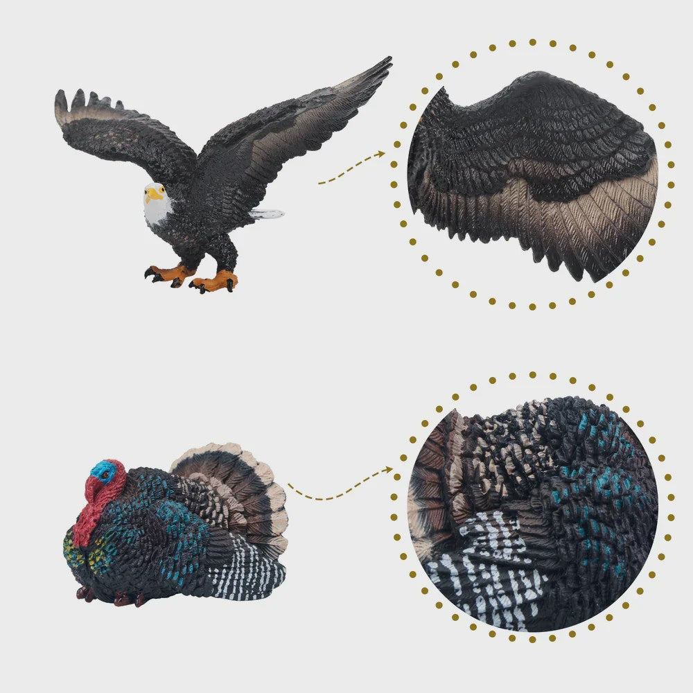 Toymany Noord-Amerikaanse Dieren Speelgoedset - 14 Realistische Mini Figuren