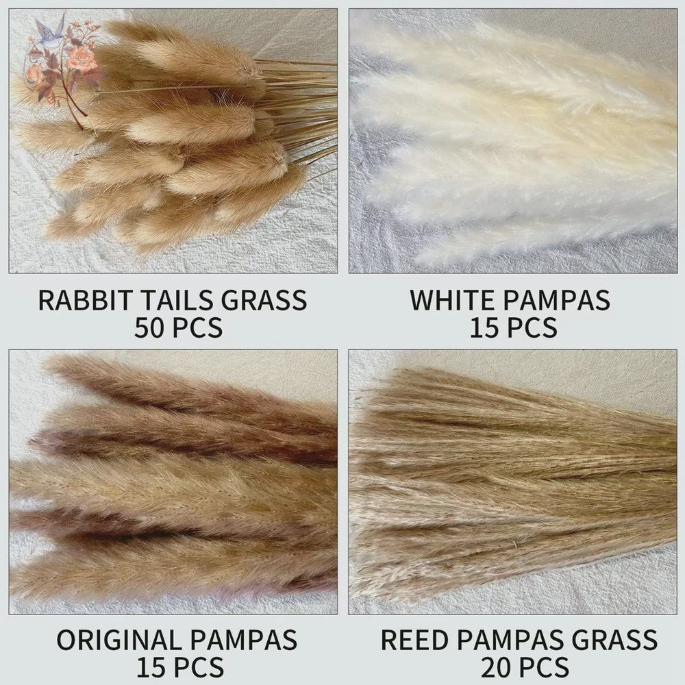 Natuurlijk Pampas Gras Boeket - Gedroogde Bloemen voor Boho Woondecoratie & Bruiloft
