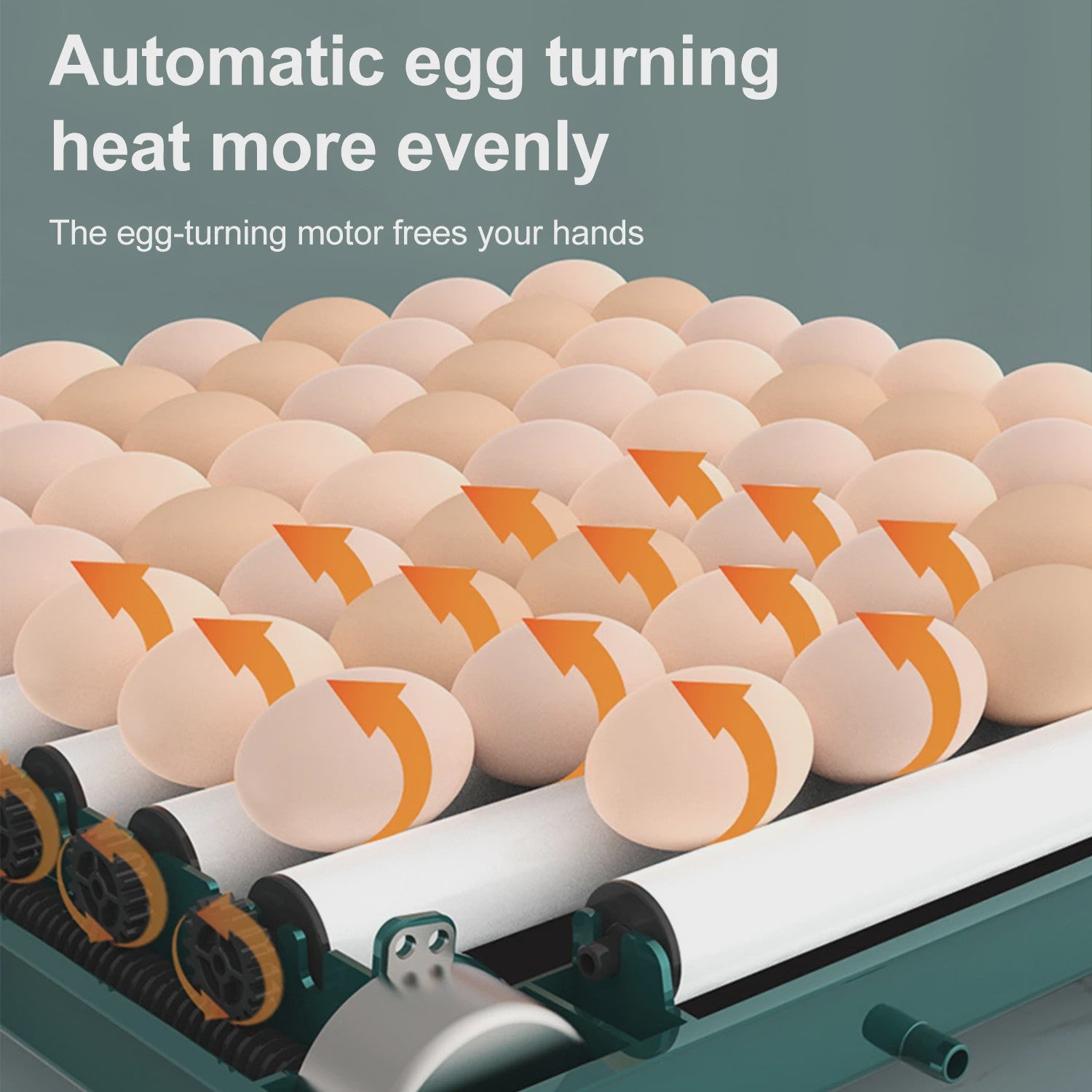 Automatische Broedmachine voor Kippen, Ganzen, Vogels & Kwartels - Enkele/Dubbele Stroom - EU Stekker