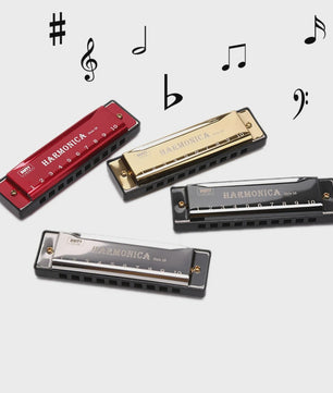 Diatonische C-Harmonica 10 Gaten - Ideaal voor Beginners, Studenten & Kinderen - Inclusief Beschermhoes