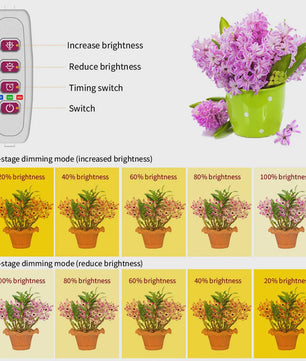 USB LED Groeilamp Kweeklamp Full Spectrum Dimbare Plantenlamp met Timer voor Binnen