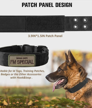 Tactische Hondenhalsband - Duurzaam Nylon Militaire Stijl voor Middelgrote tot Grote Honden