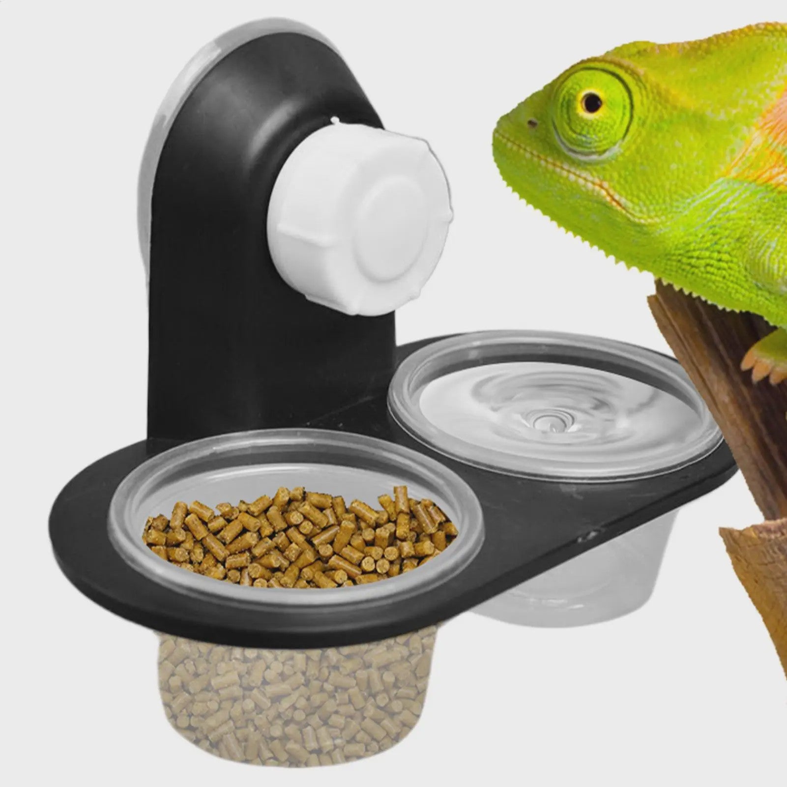 Voer- en Waterbakje met Zuignap voor Reptielen Terrarium