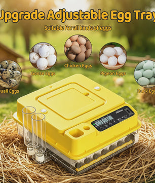 Automatische Broedmachine 288 Eieren - Volledig Automatisch met Temperatuur-, Water- en Keerfunctie - Geschikt voor Kip, Eend, Gans, Kwartel, Duif, Schildpad