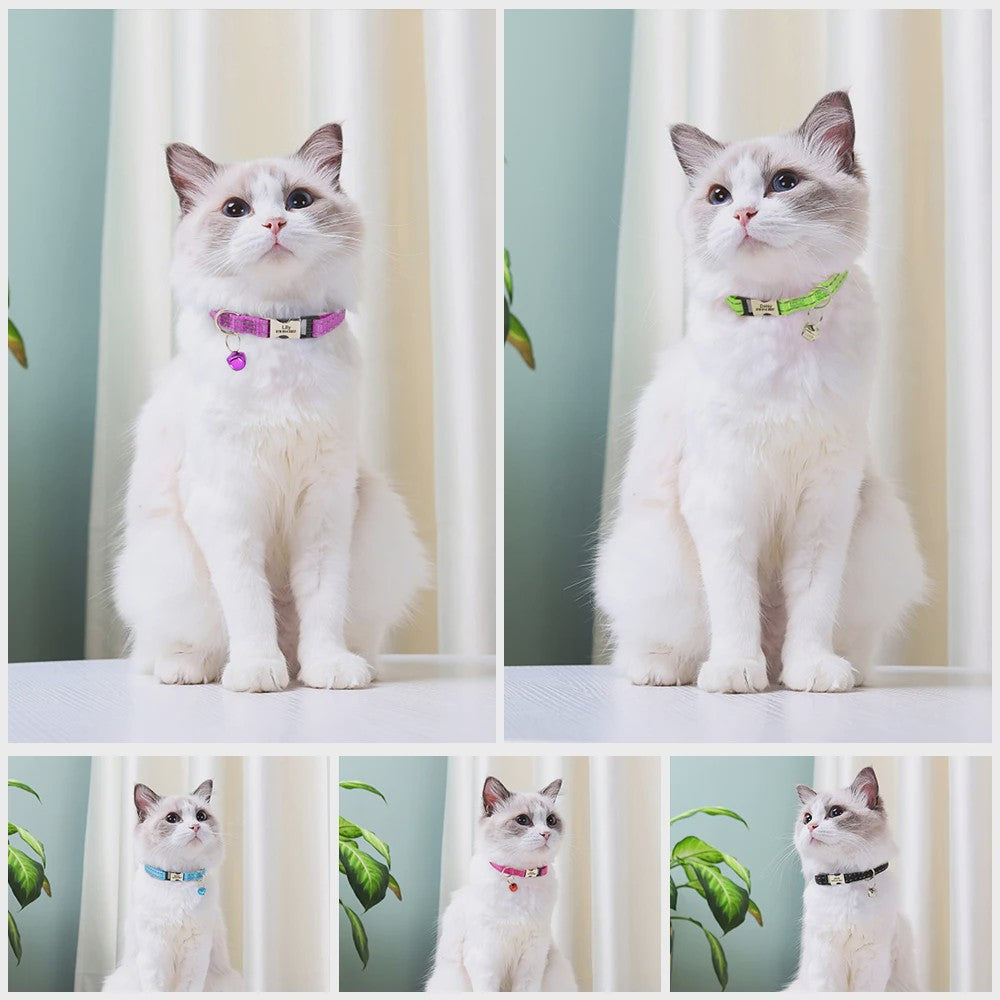 Gepersonaliseerde Kattenhalsband met Gravure, Bel & Reflecterend - Veilig & Stijlvol