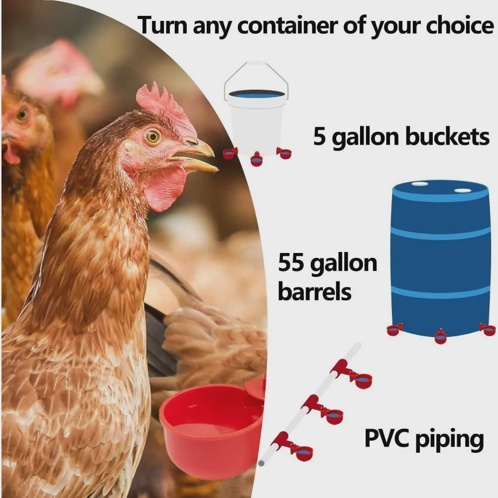Automatische Drinkbakjes voor Kippen en Watervogels - Set van 10