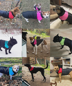 Waterdichte Hondentrui Winterjas met D-ring - Warm & Winddicht voor Kleine tot Grote Honden