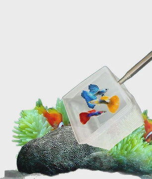Verstelbaar Aquarium Visnet met Lange Steel - Vangen & Reinigen
