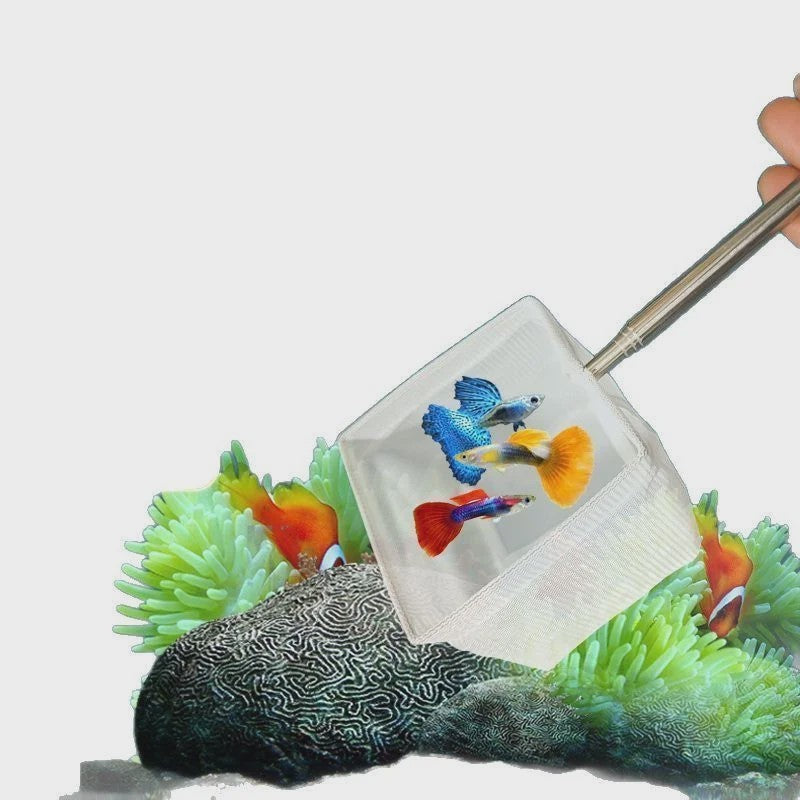 Verstelbaar Aquarium Visnet met Lange Steel - Vangen & Reinigen