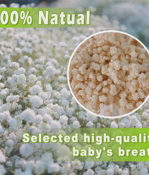 110 Stuks Gedroogde Baby's Breath (Gypsophila) - Boho Decoratie & Knutselmateriaal