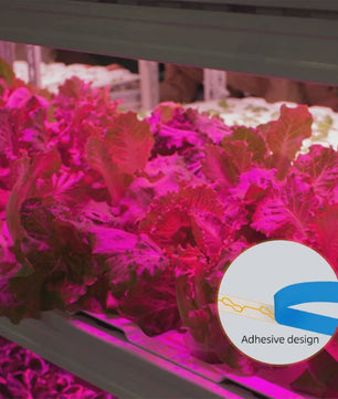 Full Spectrum LED Groeilamp USB - 0.5m, 1m, 2m - Plantenlamp voor Binnen, Kas & Hydroponics