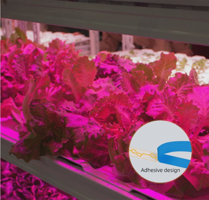Full Spectrum LED Groeilamp USB - 0.5m, 1m, 2m - Plantenlamp voor Binnen, Kas & Hydroponics
