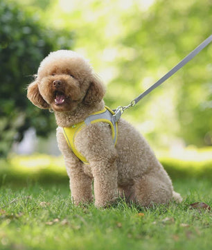 Verstelbaar Puppy en Kat Tuigje met Riem - Ideaal voor Kleine Honden zoals Chihuahua & Franse Bulldog