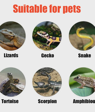Verwarmingselement voor Reptielen en Knaagdieren - Ideaal voor Slangen, Spinnen, Schorpioenen en Hamsters