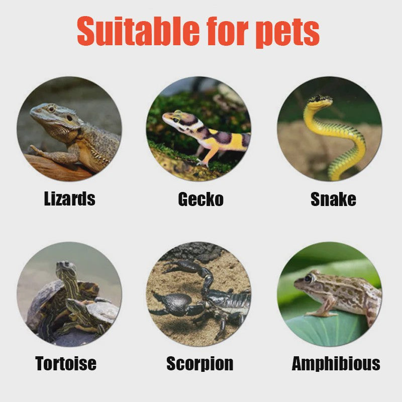Verwarmingselement voor Reptielen en Knaagdieren - Ideaal voor Slangen, Spinnen, Schorpioenen en Hamsters