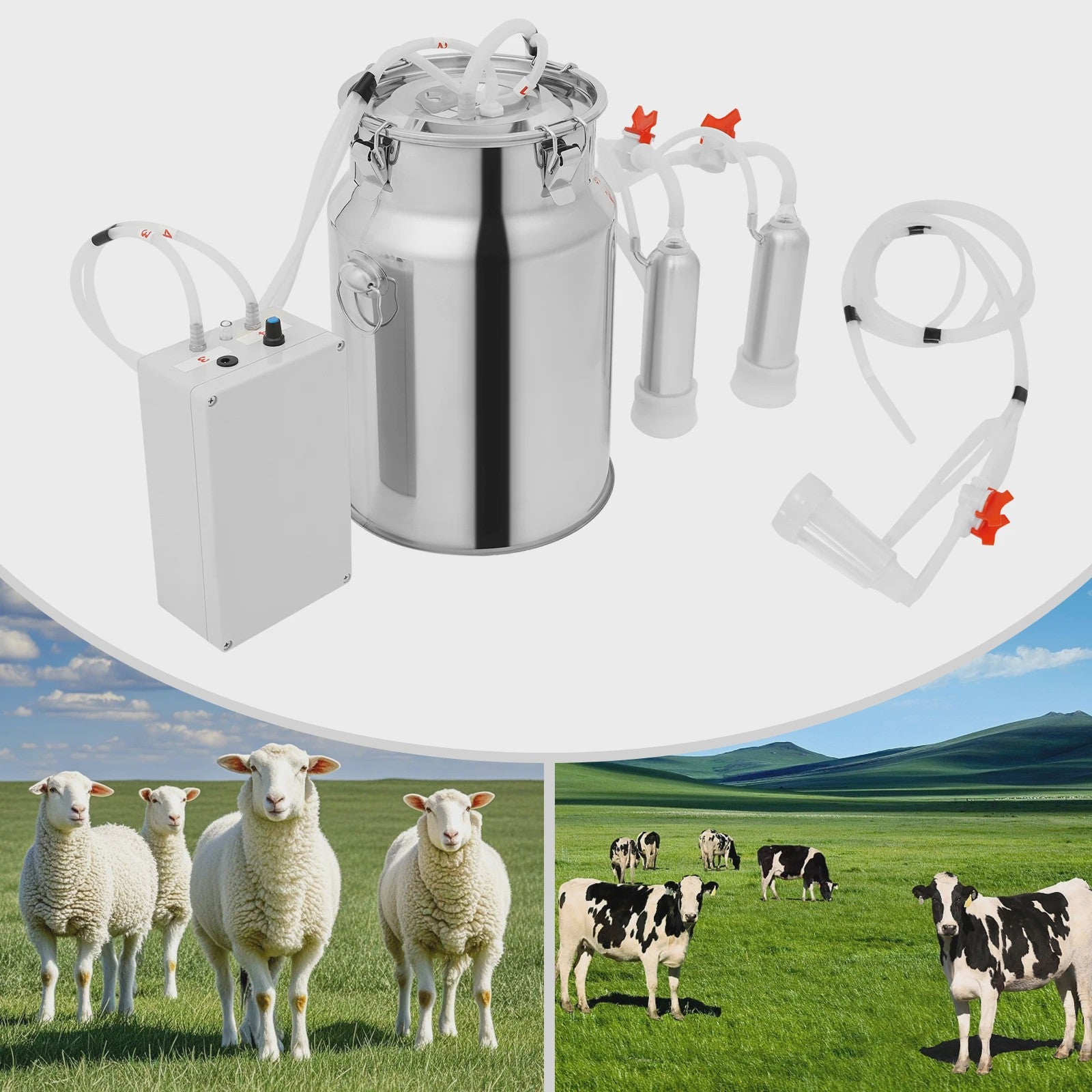 Elektrische Pulsatie Melkmachine 10L RVS Emmer - EU Standaard