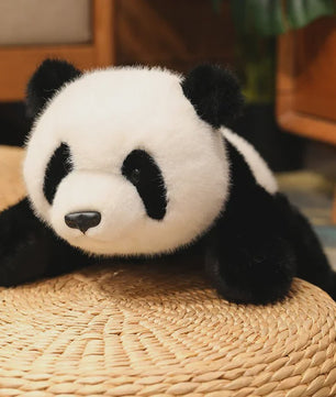 Kawaii Pluche Kussen Dieren - Panda, Bruine Beer & IJsbeer - Knuffel Decoratie