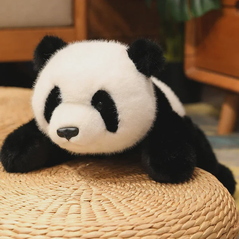Kawaii Pluche Kussen Dieren - Panda, Bruine Beer & IJsbeer - Knuffel Decoratie