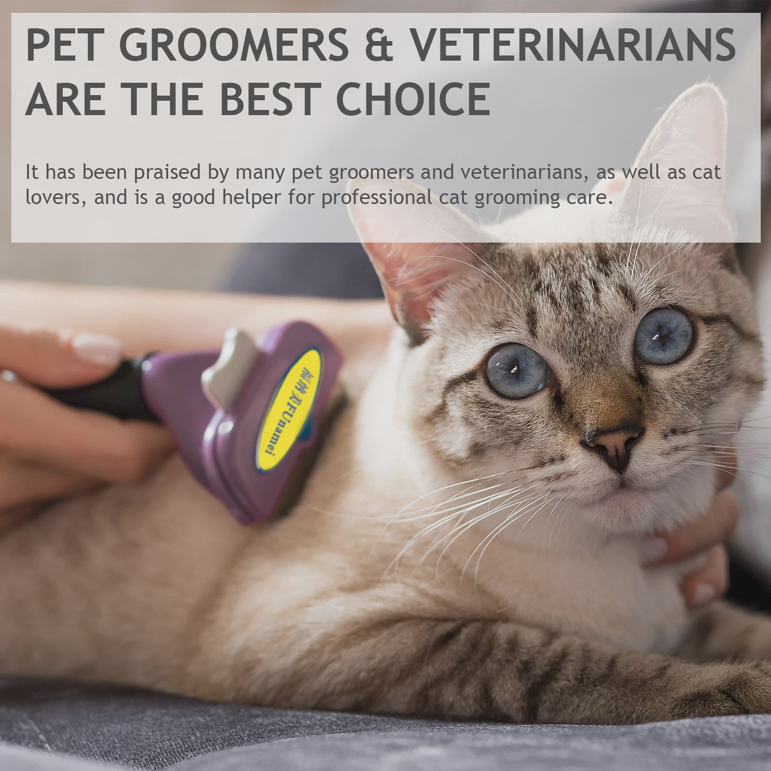 Hondenborstel & Kattenborstel: Verwijder Klitten & Dode Haren - Voor Kortharige & Langharige Honden & Katten