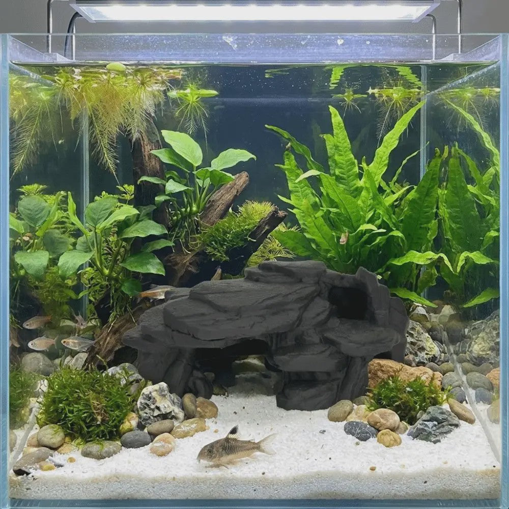 Realistische Rots Grot Decoratie voor Aquarium & Terrarium - Veilige Schuilplaats voor Vissen en Reptielen