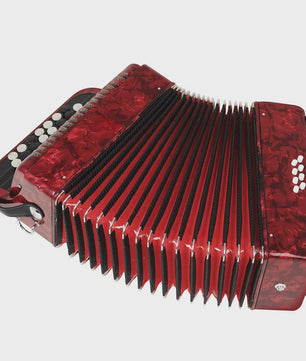 Professionele 22-Toets 8-Bas Accordeon voor Beginners en Gevorderden