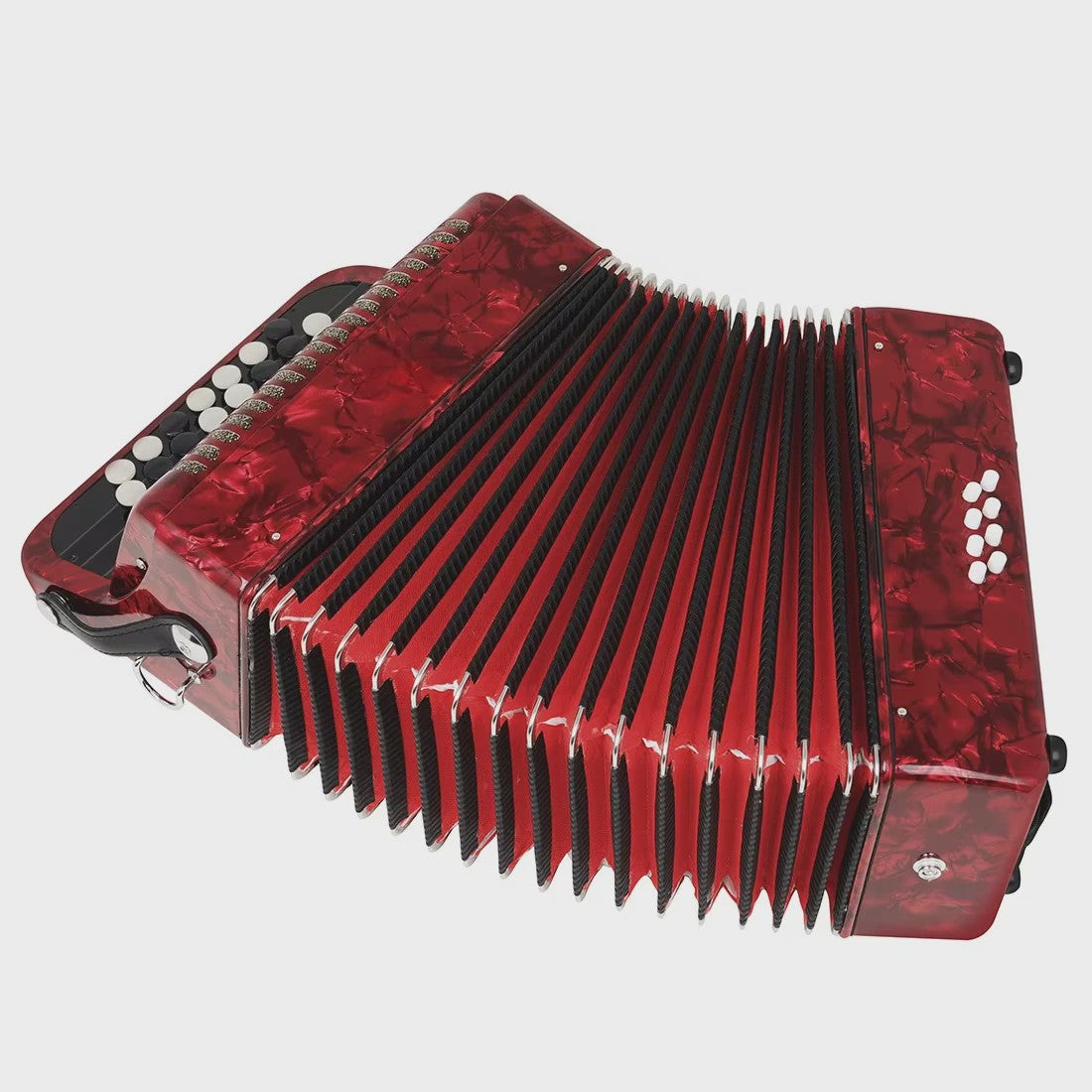 Professionele 22-Toets 8-Bas Accordeon voor Beginners en Gevorderden