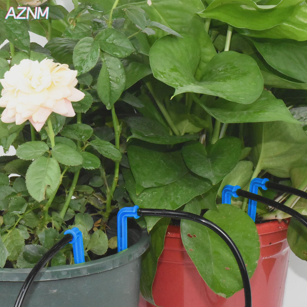 AZNM Druppelsysteem Kit 10-100M - Automatische Watergift voor Planten & Kas