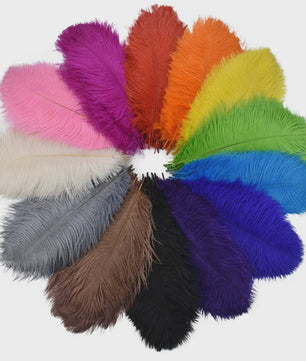 Set van 10 Gekleurde Struisvogelveren voor Knutselen, Decoratie en Feesten