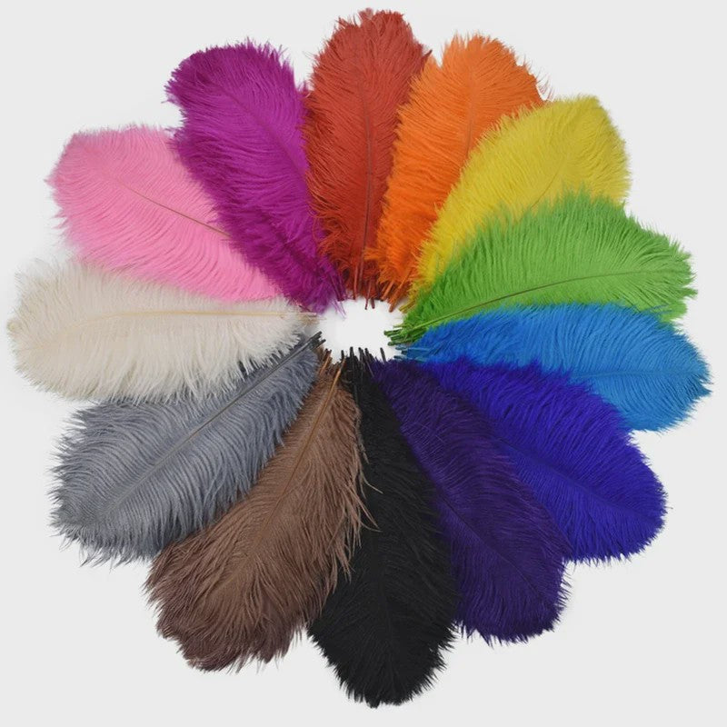 Set van 10 Gekleurde Struisvogelveren voor Knutselen, Decoratie en Feesten