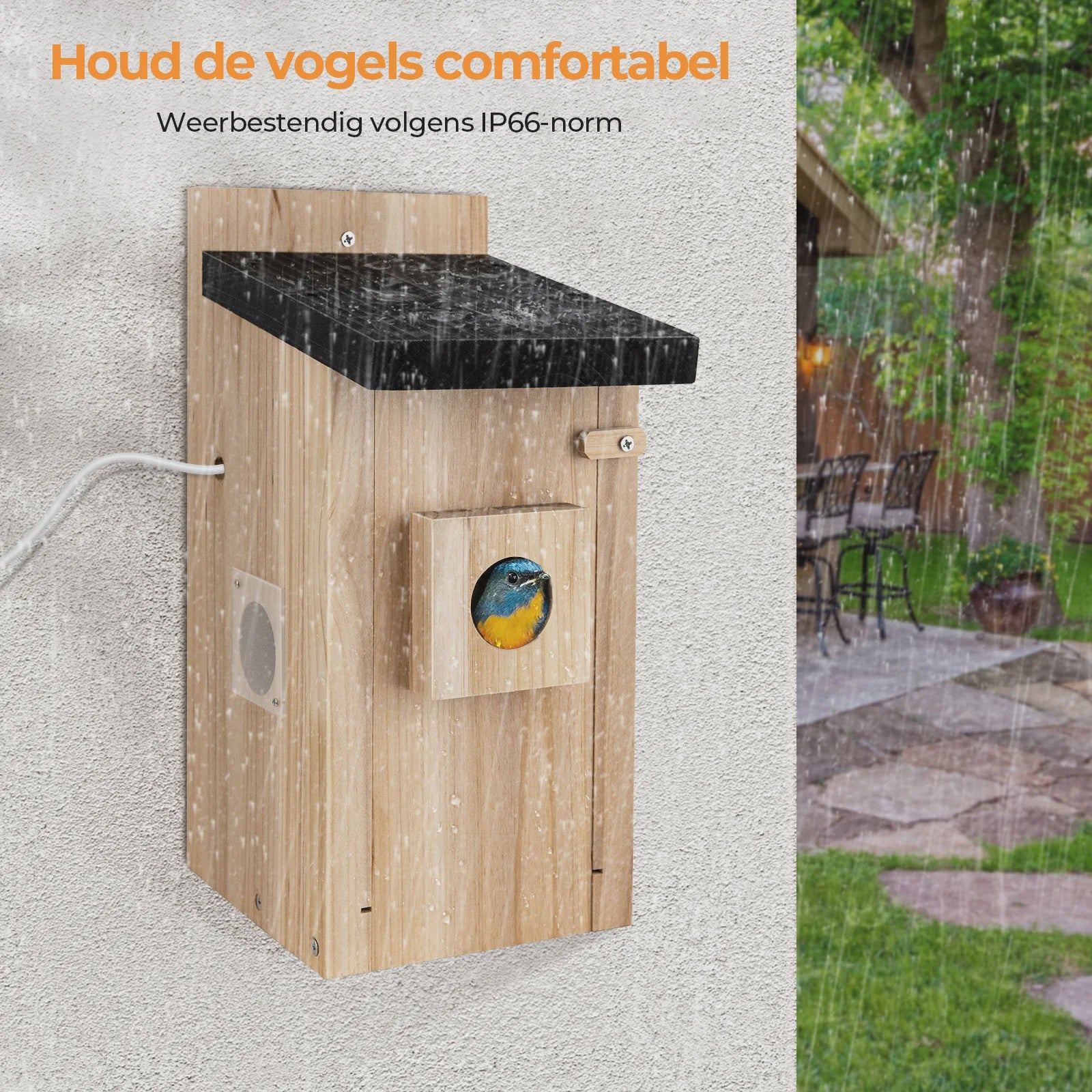 Slim Vogelhuisje met Camera: Slimme Nestkast met Bewegingsdetectie & App