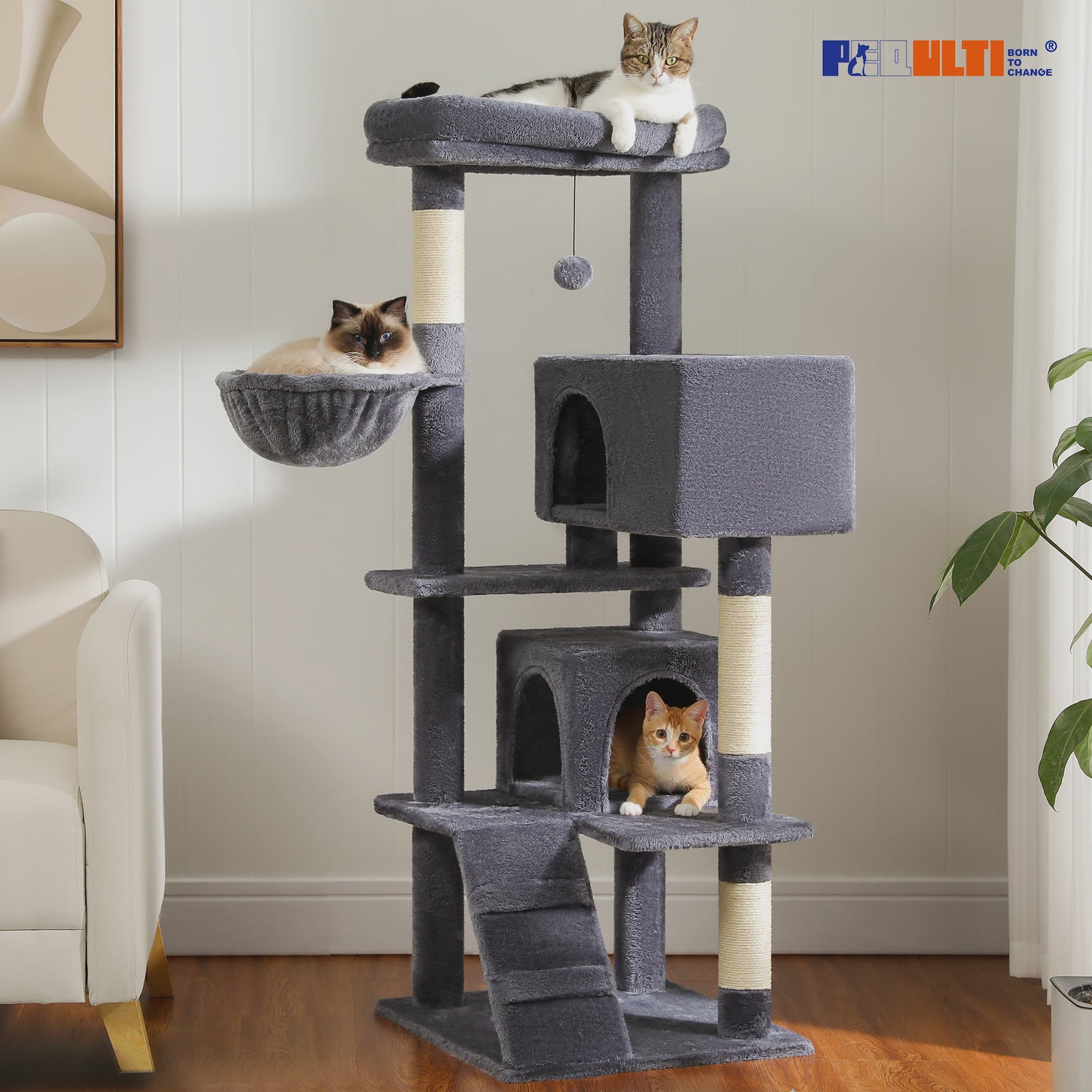Luxe Kattenboom met Krabpalen, Hangmat en Knusse Condo - Grote Katten Toren